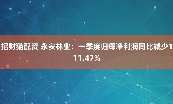招财猫配资 永安林业：一季度归母净利润同比减少111.47%