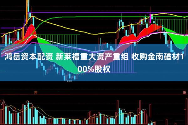 鸿岳资本配资 新莱福重大资产重组 收购金南磁材100%股权