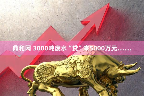 鼎和网 3000吨废水“贷”来5000万元……